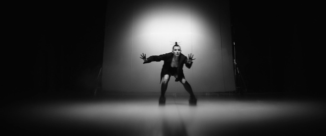 Video Reference: Flash photography, Performing arts, Gesture, Entertainment, Style, Art, Dance, Event, Monochrome photography, Monochrome