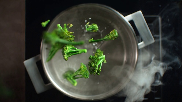 Video Reference: Plant, Glass, Herb, Soil, Circle, Tree, Science, Art, Transparent material, Font