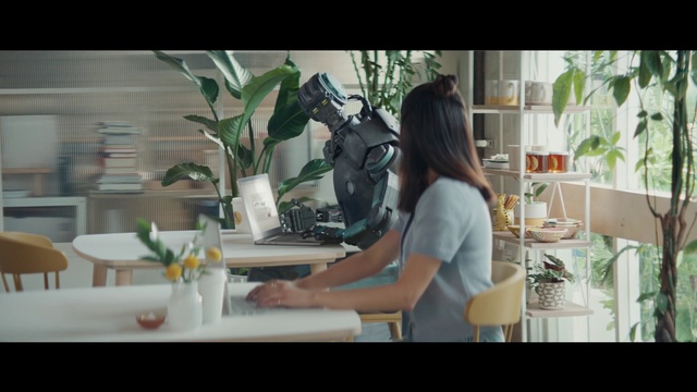 Video Reference: Table, Plant, Window, Desk, Houseplant, Computer, Comfort, Office equipment, Tableware, Fashion design