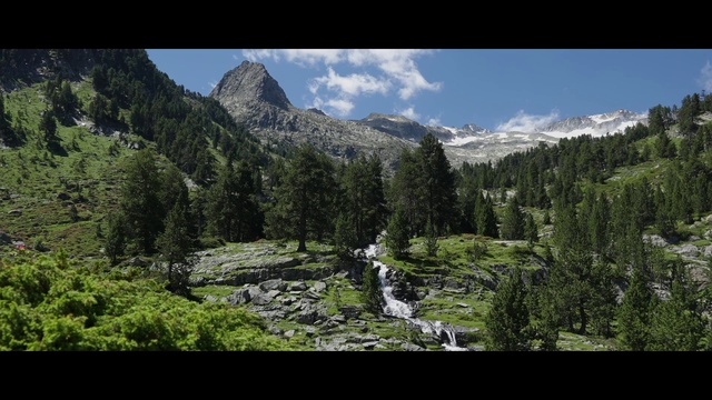 Video Reference: Cloud, Plant, Sky, Mountain, Tree, Natural landscape, Larch, Highland, Watercourse, Biome