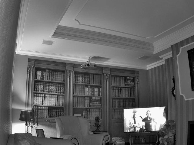 Video Reference: living room, bookcase, books, armchair, television, indoor, furniture, lamp, black and white, home interior, ceiling, decor, screen, bookshelf, camera mounted, residential