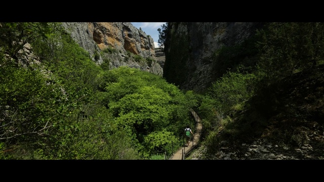 Video Reference: Plant, Natural landscape, Mountain, Tree, Bedrock, Terrestrial plant, Formation, Landscape, Geological phenomenon, Grass