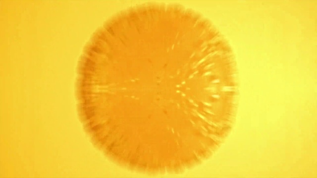 Video Reference: Food, Plant, Flower, Fruit, Petal, Rangpur, Clementine, Orange, Citrus, Ingredient