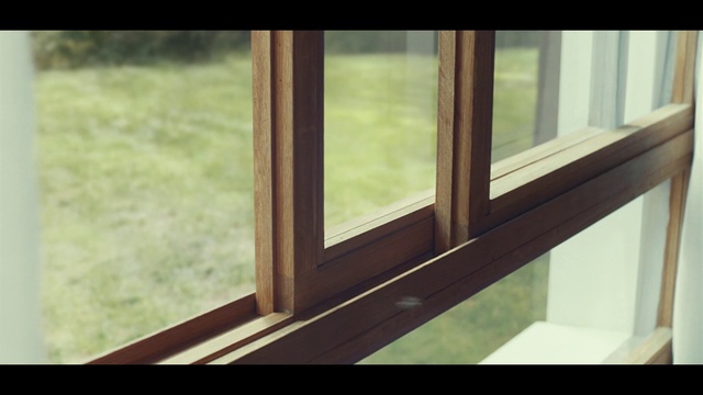 Video Reference: Window, Fixture, Wood, Wood stain, Hardwood, Tints and shades, Plant, Rectangle, Flooring, Plank