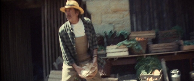 Video Reference: Hat, Sun hat, Sleeve, Wood, Street fashion, Event, Fedora, Scarf, Cowboy hat, Fashion accessory