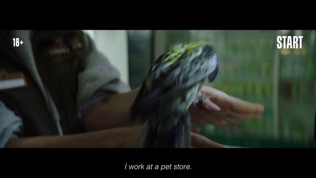 Video Reference: Reptile, Gesture, Turtle, Tortoise, Event, Photo caption, Feather, Terrestrial animal, Wildlife, Sea turtle