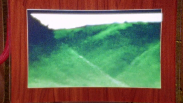 Video Reference: Green, Picture frame, Rectangle, Paint, Wood, Sky, Art, Painting, Tints and shades, Landscape