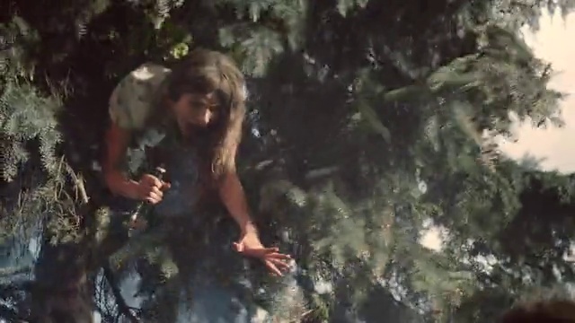 Video Reference: Terrestrial plant, Wood, Trunk, People in nature, Forest, Darkness, Grass, Jungle, Fun, Tree