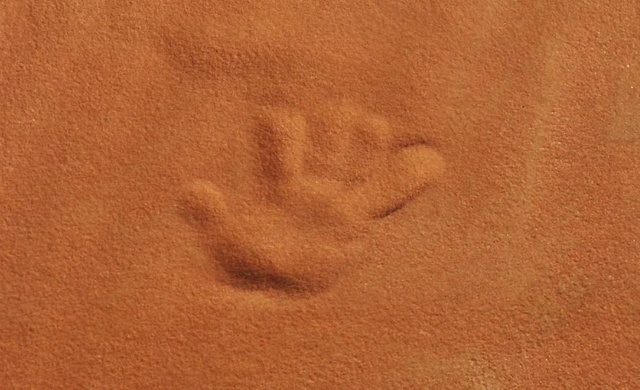 Video Reference: Brown, Hand, Human body, Wood, Beige, Font, Tints and shades, Flooring, Landscape, Peach