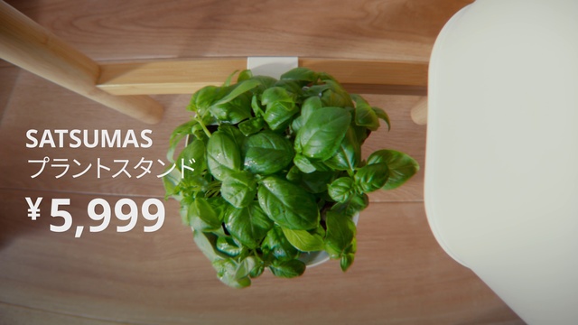 Video Reference: Food, Plant, Table, Ingredient, Leaf vegetable, Natural foods, Dishware, Houseplant, Vegetable, Superfood