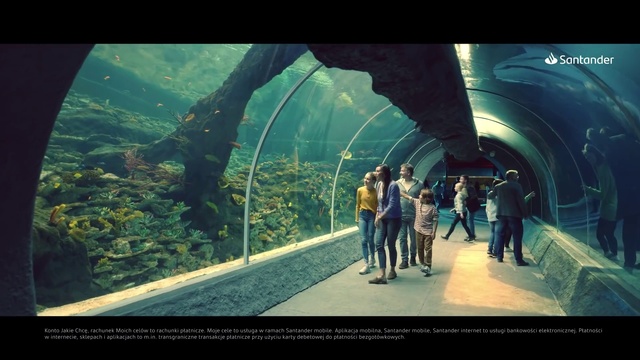Video Reference: World, Infrastructure, Organism, Travel, Adaptation, Leisure, Plant, Electric blue, Road, Natural landscape