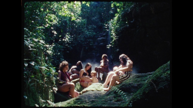 Video Reference: Plant, People in nature, Tree, Organism, Natural landscape, Biome, Leisure, Landscape, Forest, Art