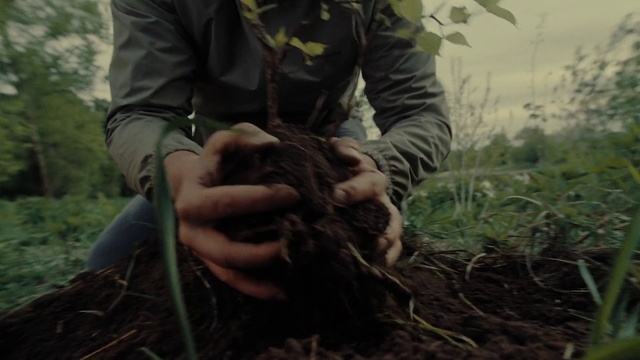 Video Reference: Plant, Gesture, Glove, Grass, Military camouflage, People in nature, Wood, Soil, Pattern, Wildlife biologist