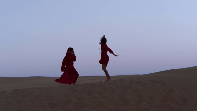 Video Reference: Sky, People in nature, Happy, People on beach, Gesture, Horizon, Travel, Landscape, Singing sand, Fun
