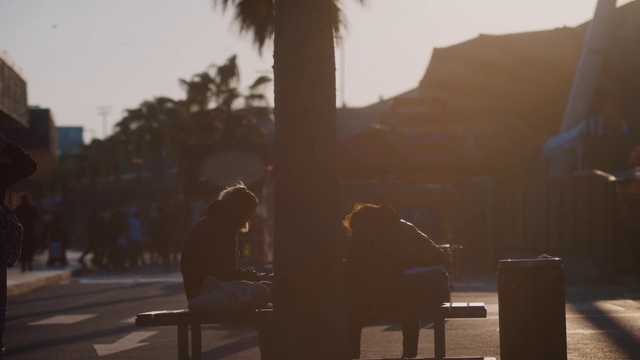 Video Reference: Sky, Atmosphere, Plant, Sunlight, Tree, Dusk, Shade, Atmospheric phenomenon, Musical instrument, Sunset