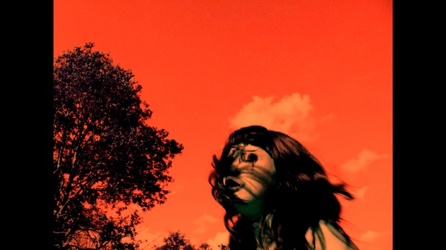 Video Reference: Hair, Cloud, Sky, People in nature, Flash photography, Orange, Happy, Tree, Tints and shades, Art