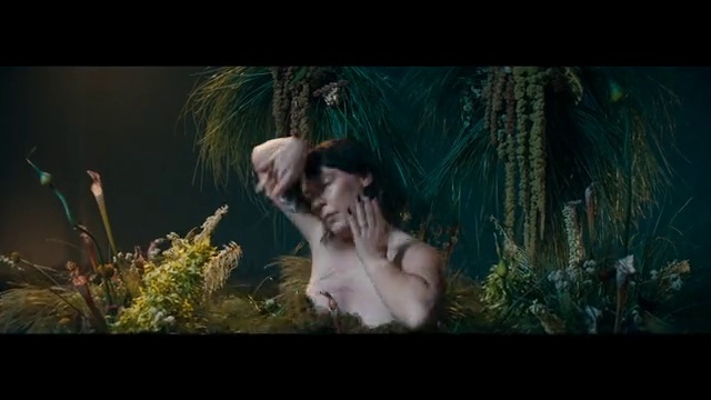 Video Reference: Plant, Flash photography, Fawn, Grass, Window, People in nature, Art, Cg artwork, Darkness, Forest