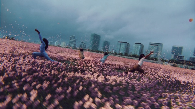 Video Reference: Sky, Cloud, People in nature, Grass, Landscape, Horizon, Leisure, Crowd, City, Fun