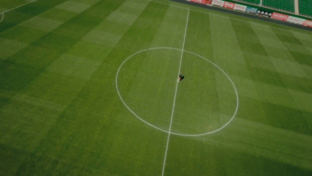 Video Reference: Soccer, Plant, Player, Sports equipment, Ball game, Grass, Flooring, Competition event, Team sport, Sports