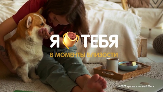 Video Reference: Dog, Human, Carnivore, Dog breed, Comfort, Tableware, Coffee cup, Happy, Serveware, Fawn