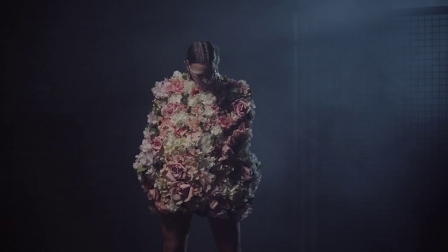 Video Reference: Flash photography, Organism, Plant, Underwater, Fashion design, Sky, Art, Event, Darkness, Entertainment