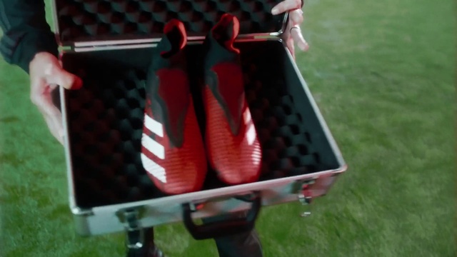 Video Reference: Grass, Motor vehicle, Chair, Outdoor furniture, Bag, Luggage and bags, Vehicle, Recreation, Fashion accessory, Plant