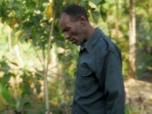 Video Reference: People in nature, Plant, Dress shirt, Happy, Flash photography, Grass, Formal wear, Tree, Natural landscape, Forest