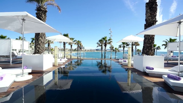 Video Reference: Water, Sky, Property, Swimming pool, Azure, Outdoor furniture, Tree, Plant, Arecales, Interior design