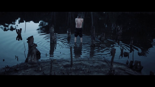 Video Reference: Water, Flash photography, Lake, Adaptation, Art, Twig, Tints and shades, Landscape, Natural landscape, Grass