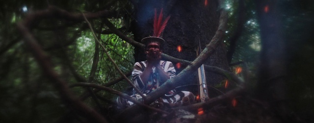 Video Reference: Terrestrial plant, Flash photography, Entertainment, Cg artwork, Forest, Wood, Event, Midnight, Darkness, Jungle