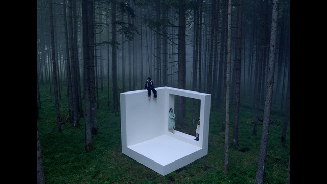 Video Reference: Plant, Tree, Wood, Grass, Rectangle, Terrestrial plant, Trunk, Door, Forest, Outdoor structure