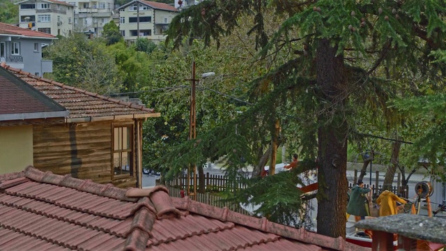 Video Reference: Building, Window, Wood, Tree, Landscape, Leisure, Urban design, Real estate, Roof, Facade