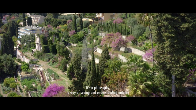 Video Reference: Plant, Petal, Flower, Natural landscape, Terrestrial plant, Tree, Groundcover, Shrub, Urban design, Landscape