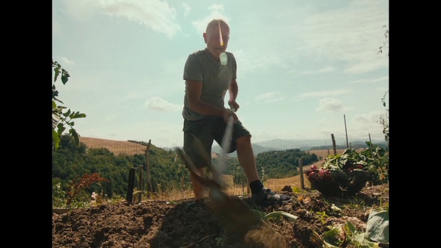 Video Reference: Sky, Plant, Cloud, Wood, People in nature, Landscape, Grass, Tree, Shorts, Soil