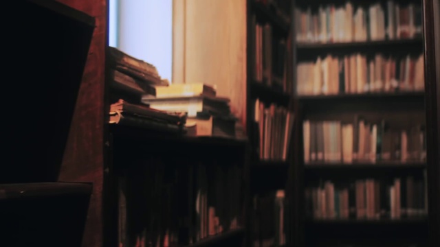 Video Reference: Bookcase, Shelf, Wood, Publication, Shelving, Book, Hardwood, Tints and shades, Darkness, Flooring