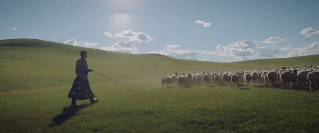 Video Reference: Cloud, Sky, Ecoregion, Shepherd, Highland, Natural landscape, Grass, Grassland, Sheep, Plain