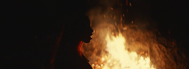 Video Reference: Flash photography, Fire, Flame, Smoke, Gas, Heat, Sky, Event, Midnight, Bonfire