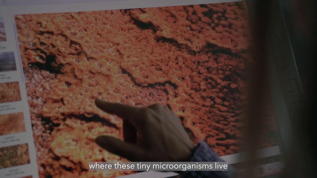 Video Reference: Wood, Gesture, Tints and shades, Brick, Soil, Rectangle, Landscape, Carmine, Brickwork, Rock