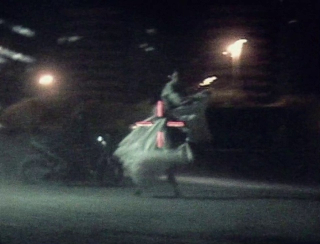 Video Reference: Flash photography, Dress, Automotive lighting, Entertainment, Performing arts, Midnight, Event, Dance, Tree, Darkness