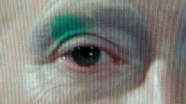 Video Reference: Eyelash, Iris, Electric blue, Circle, Close-up, Macro photography, Art, Flesh, Terrestrial animal, Visual arts