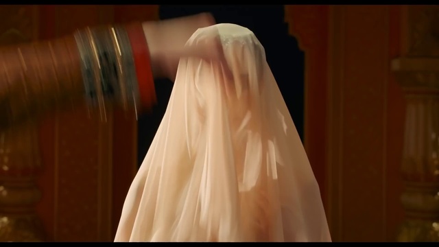 Video Reference: Wedding dress, Dress, Sleeve, Gesture, Bridal party dress, Bridal clothing, Wood, Bridal veil, Gown, Bridal accessory