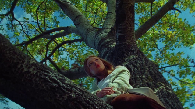 Video Reference: People in nature, Leaf, Branch, Tree, Botany, Trunk, Twig, Biome, Wood, Woody plant