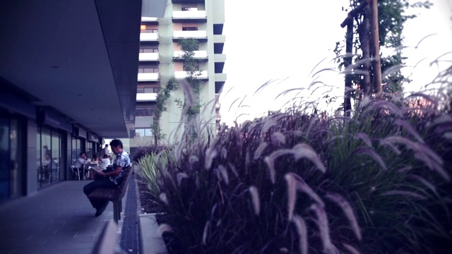 Video Reference: Plant, Building, Sky, Purple, Lighting, Architecture, City, Metropolitan area, Road, Grass