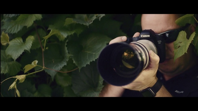 Video Reference: Plant, Photographer, Camera lens, Camera, Flash photography, Digital camera, Reflex camera, Camera accessory, Single-lens reflex camera, Cameras & optics