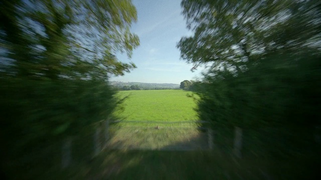 Video Reference: Cloud, Sky, Plant, Natural landscape, Wood, Plain, Landscape, Tree, Tints and shades, Horizon