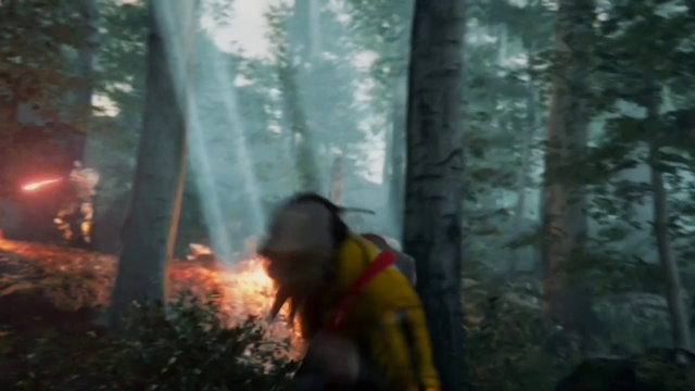 Video Reference: Plant, People in nature, Wood, Terrestrial plant, Tree, Fire, Trunk, Smoke, Recreation, Natural landscape