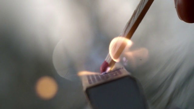 Video Reference: Musical instrument, Musical instrument accessory, Musician, Wood, Twig, Audio equipment, Event, Music, Performing arts, Art