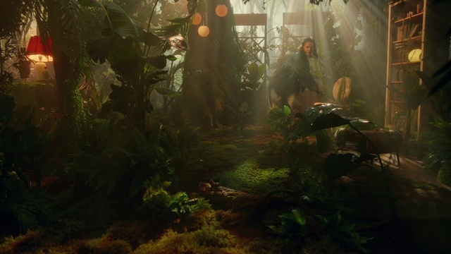 Video Reference: Plant, Terrestrial plant, Vegetation, Grass, Landscape, Natural landscape, Tints and shades, Forest, Window, Jungle