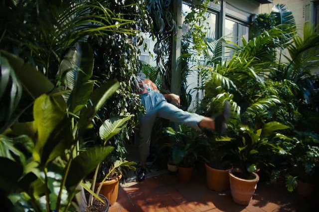 Video Reference: Plant, Flowerpot, Leaf, Houseplant, Botany, Hat, Terrestrial plant, Organism, Vegetation, Window