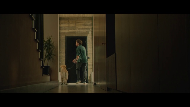 Video Reference: Flash photography, Carnivore, Plant, Tints and shades, Entertainment, Door, Event, Darkness, Performing arts, Art